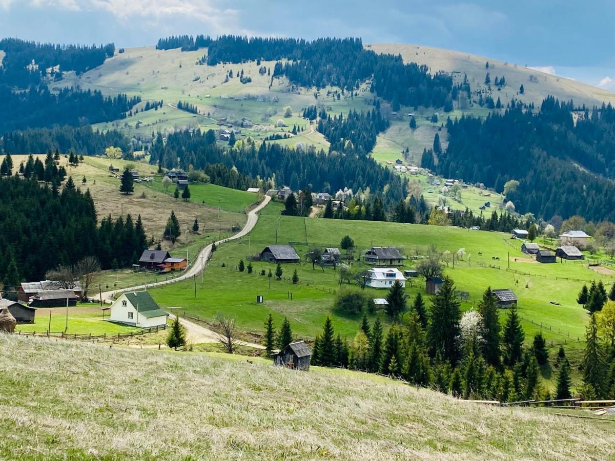 Penzion Rodynnyi Zatyshok Verchovyna Exteriér fotografie