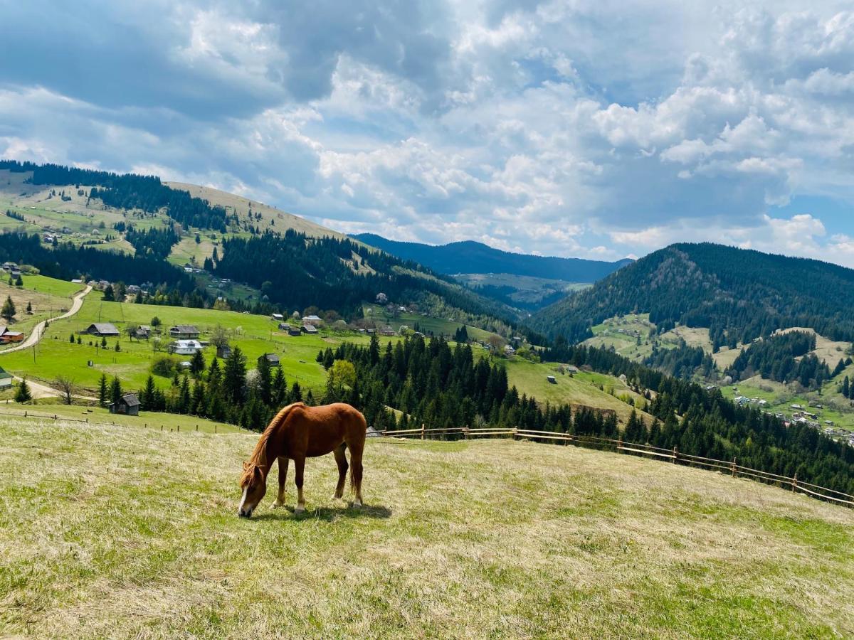 Penzion Rodynnyi Zatyshok Verchovyna Exteriér fotografie
