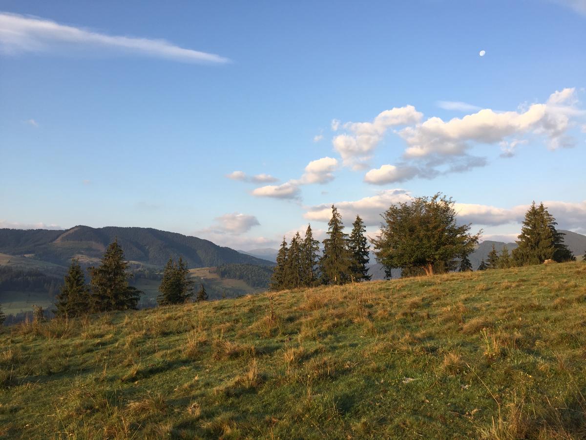 Penzion Rodynnyi Zatyshok Verchovyna Exteriér fotografie